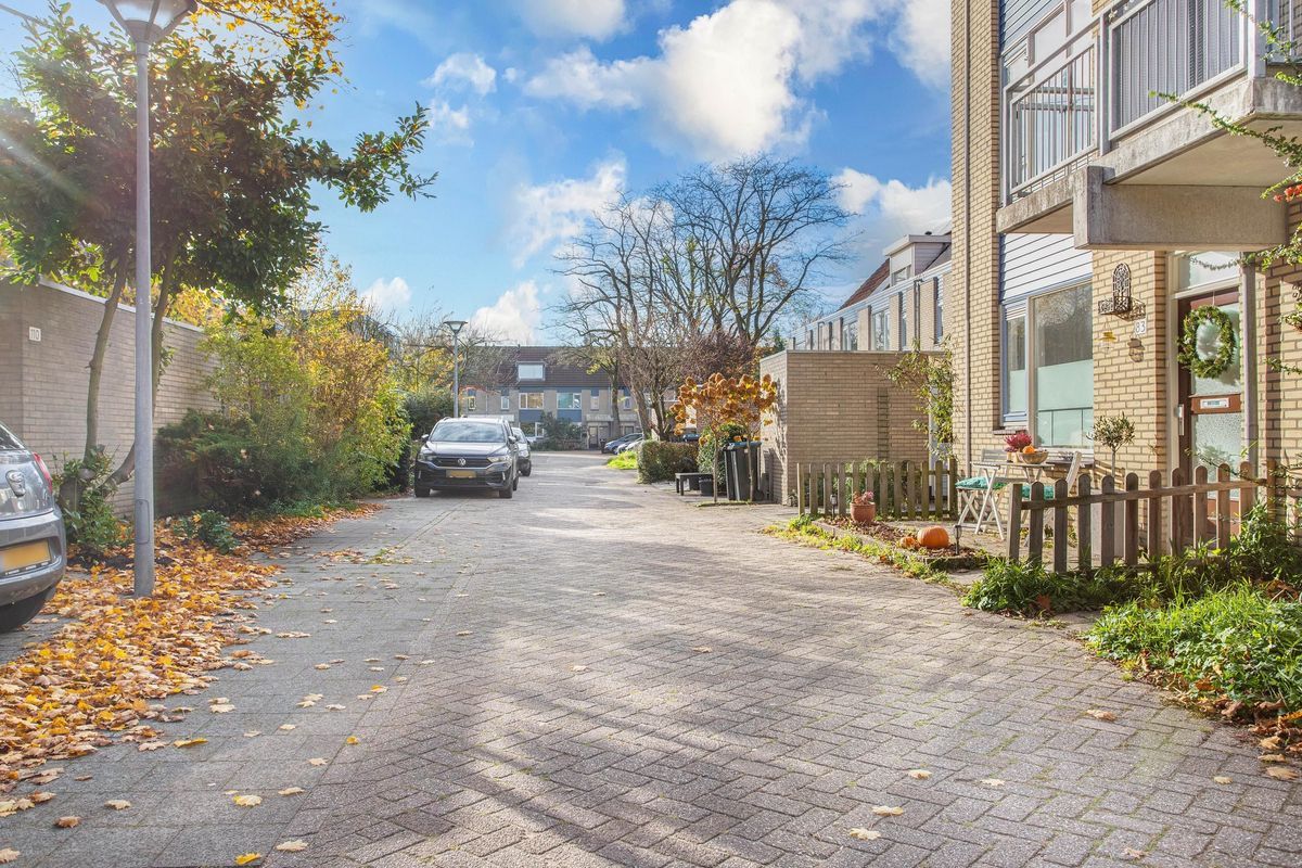 Jungfrau 83 Photo Blur 20