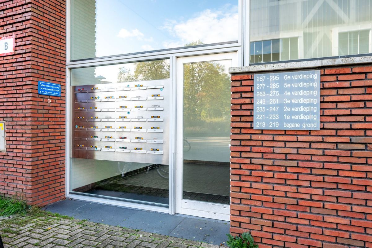 Royaards van den Hamkade 221 Photo Blur 32