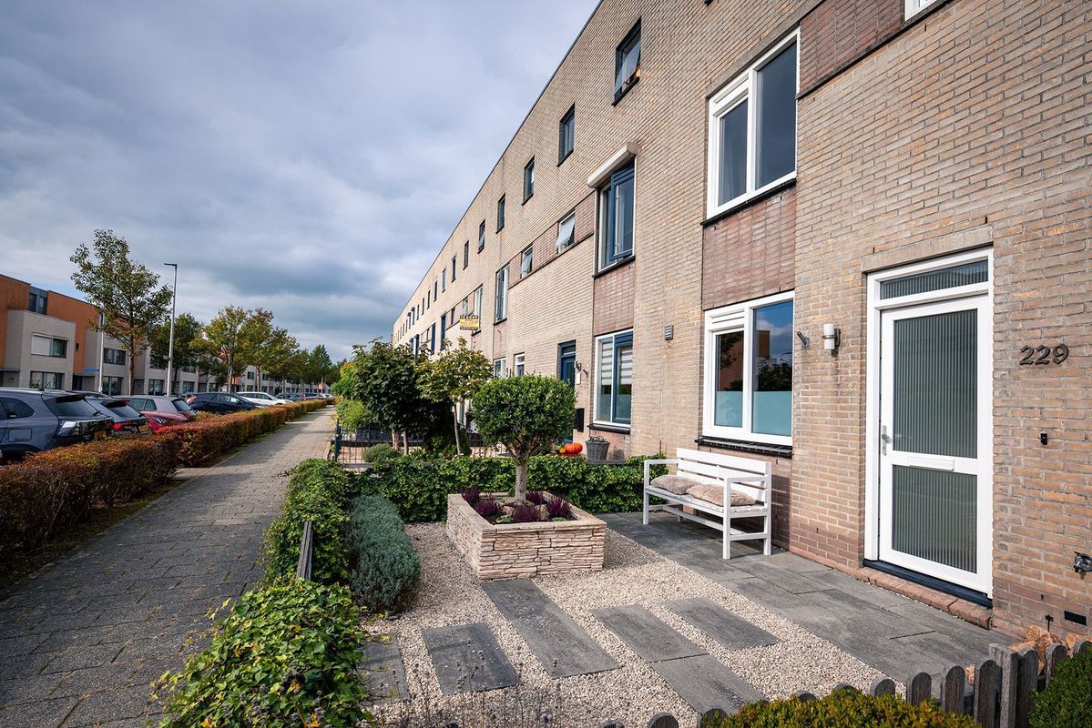 Zuiderkeerkring 229 Photo Blur 3