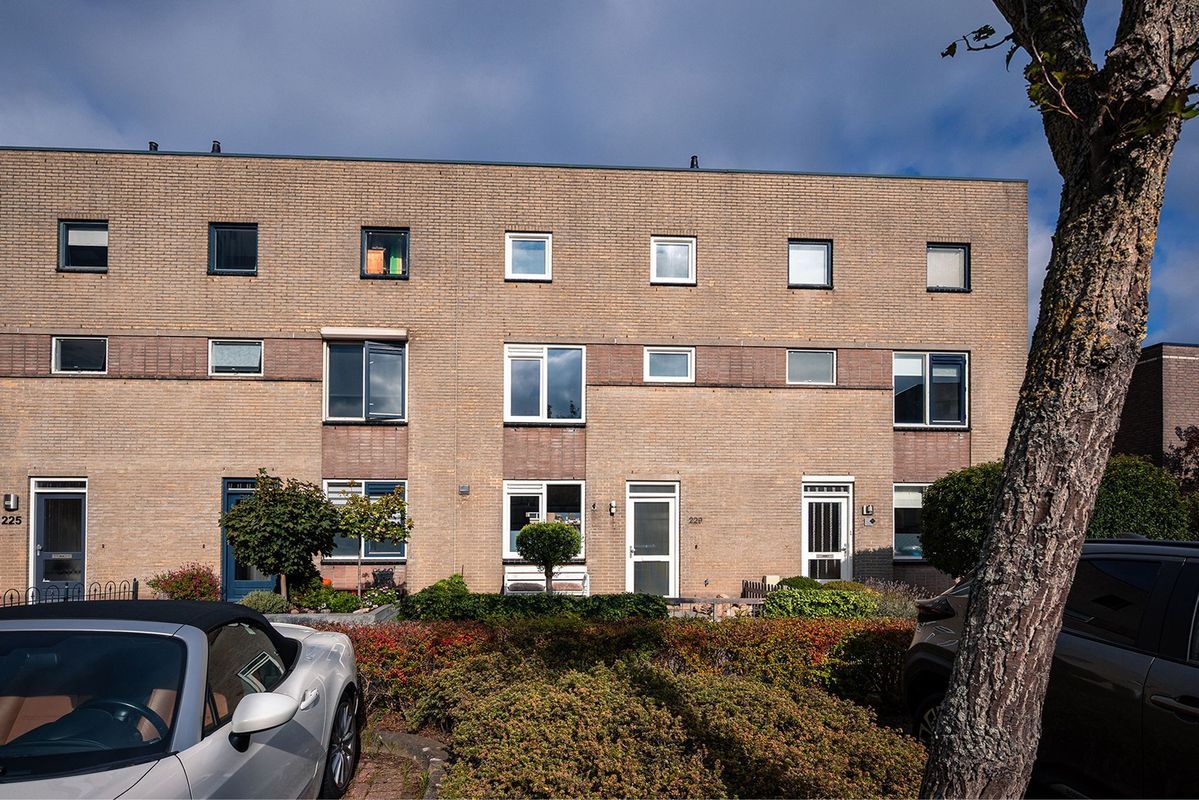 Zuiderkeerkring 229 Photo Blur 37