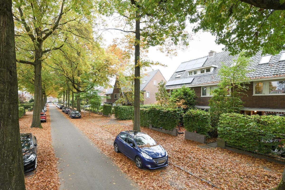 Laan van Cattenbroeck 54 Photo Blur 34