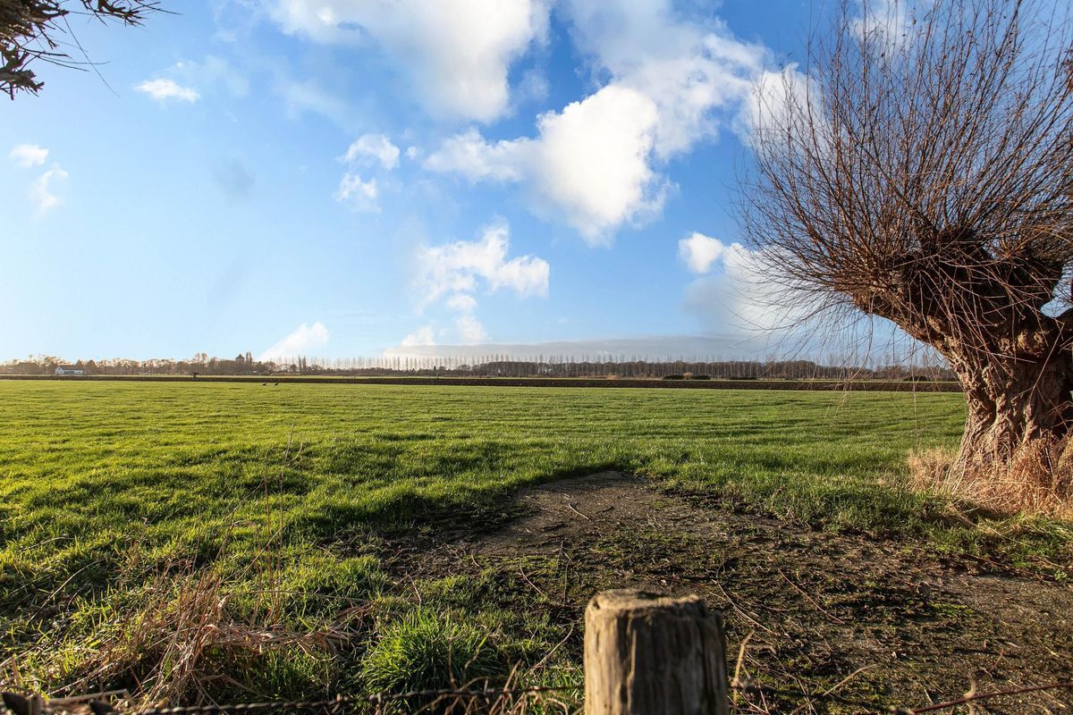 Haarpad 9 Photo Blur 37