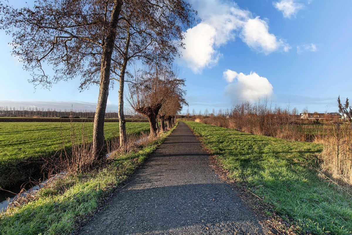 Haarpad 9 Photo Blur 38