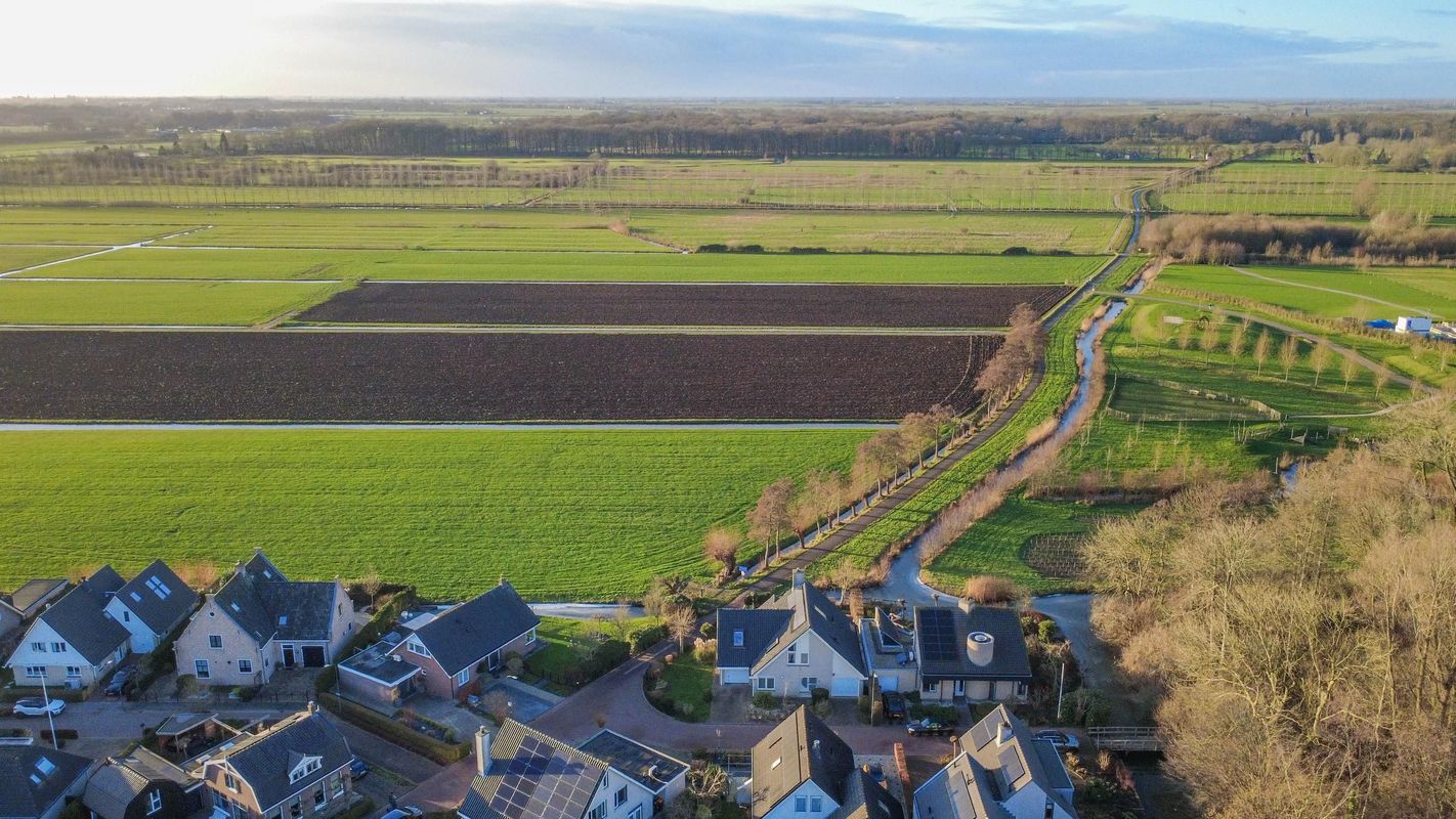 Haarpad 9 Photo Blur 1