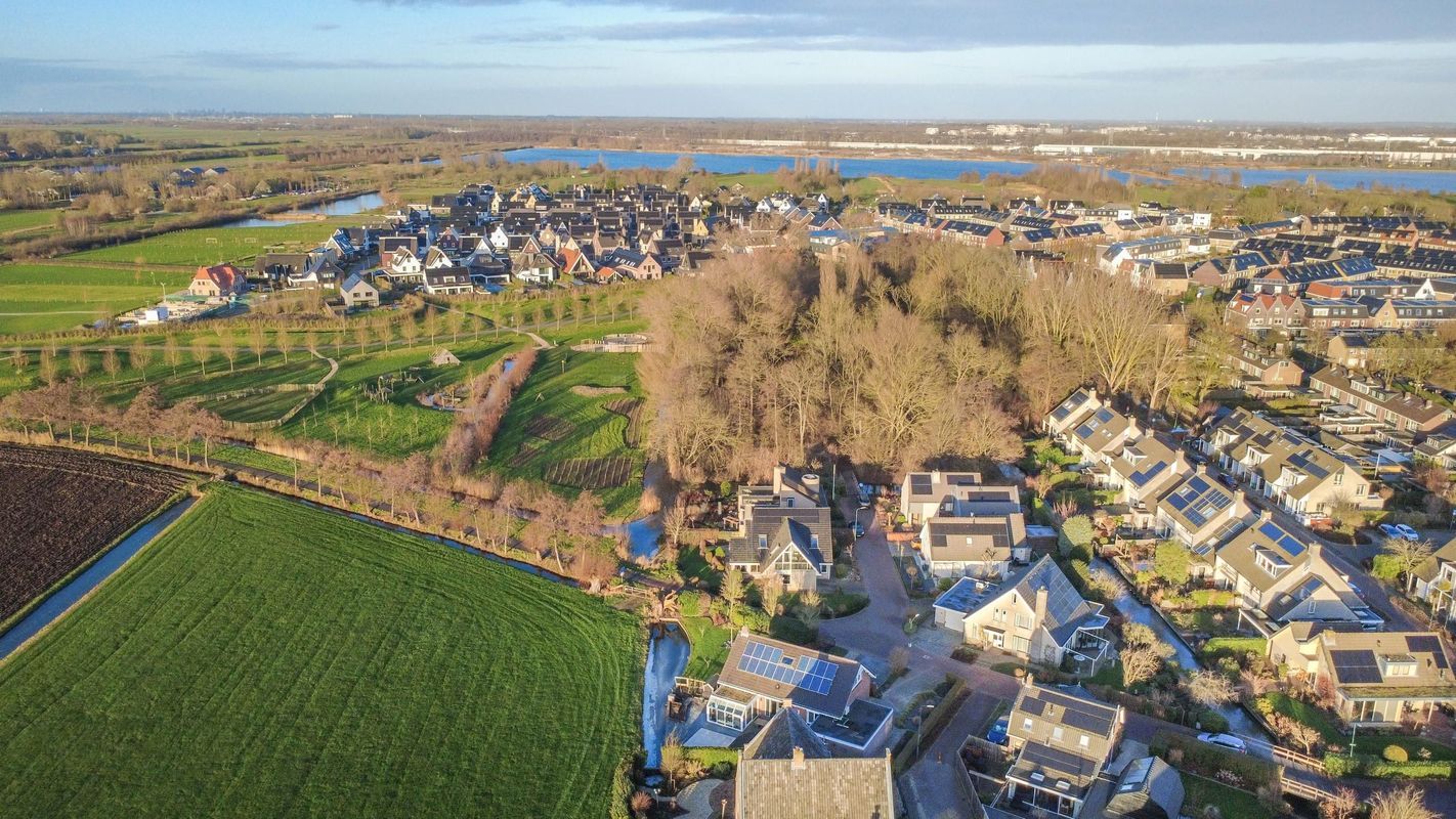 Haarpad 9 Photo Blur 41