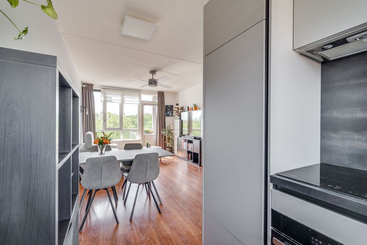 Trumanlaan 56 Photo Blur 14