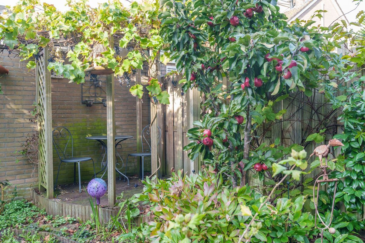 Koeweitdreef 125 Photo Blur 16