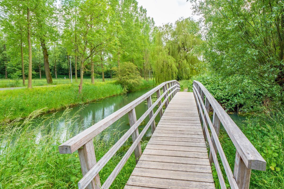 Chathams 38 Photo Blur 19