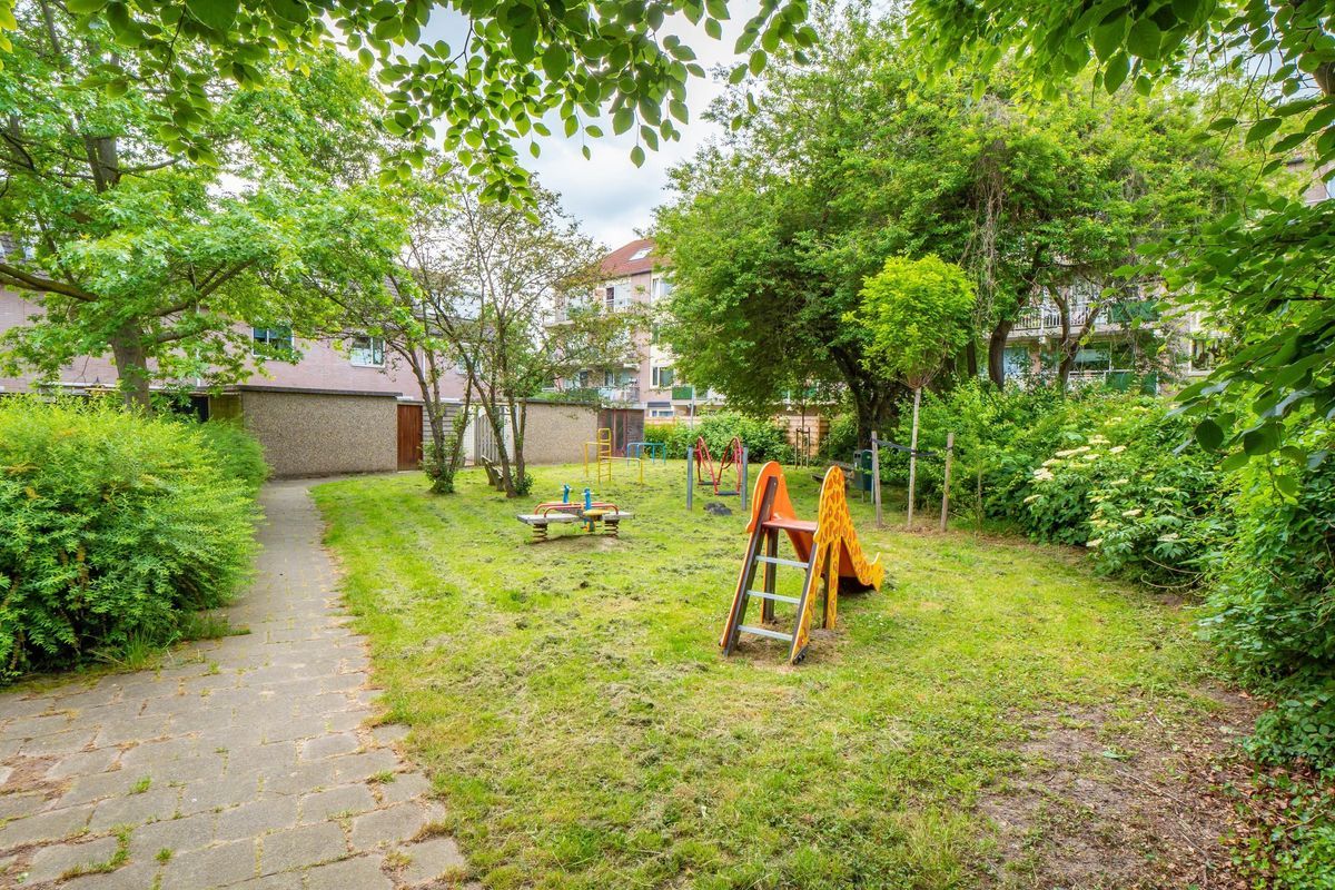 Chathams 38 Photo Blur 17