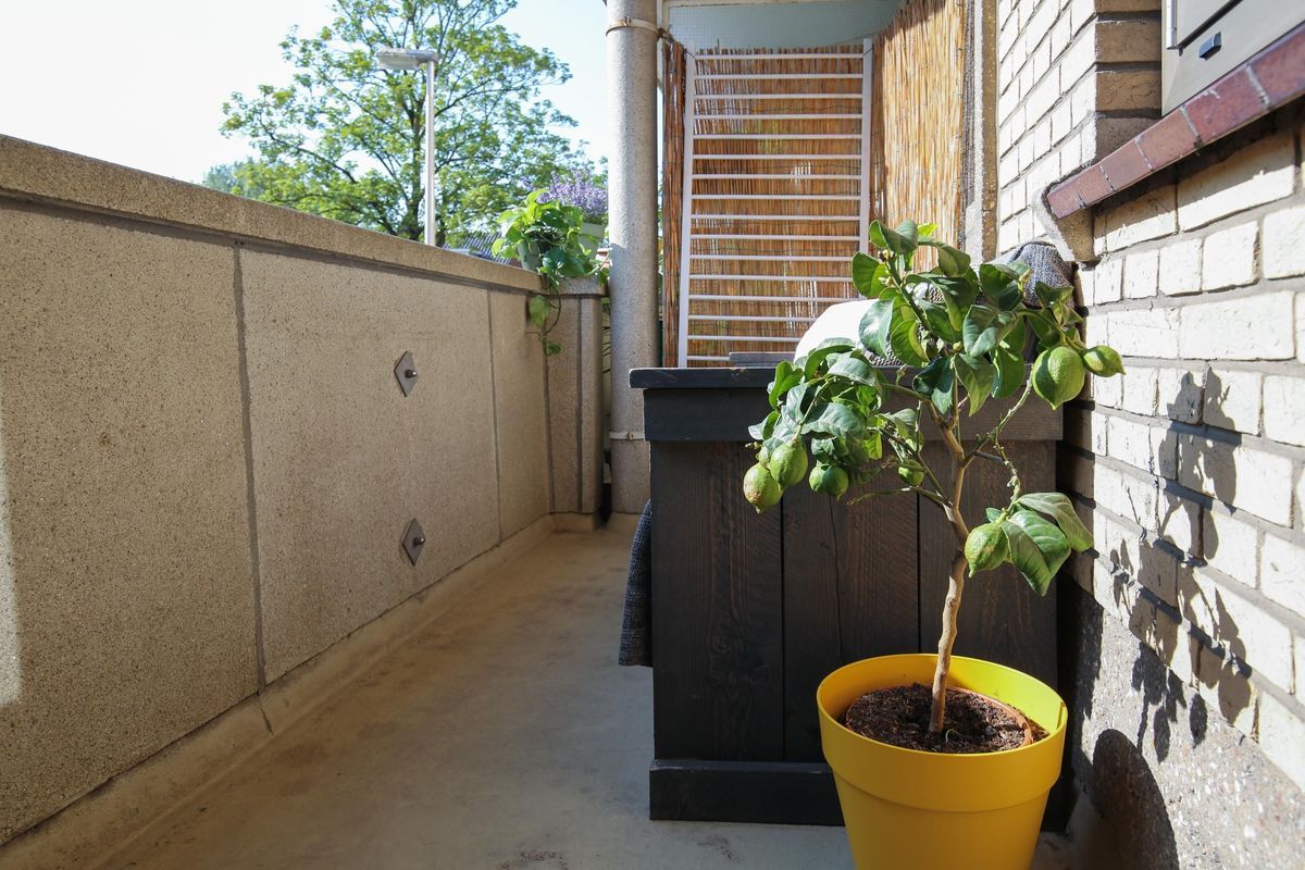 Israelslaan 12 Photo Blur 11