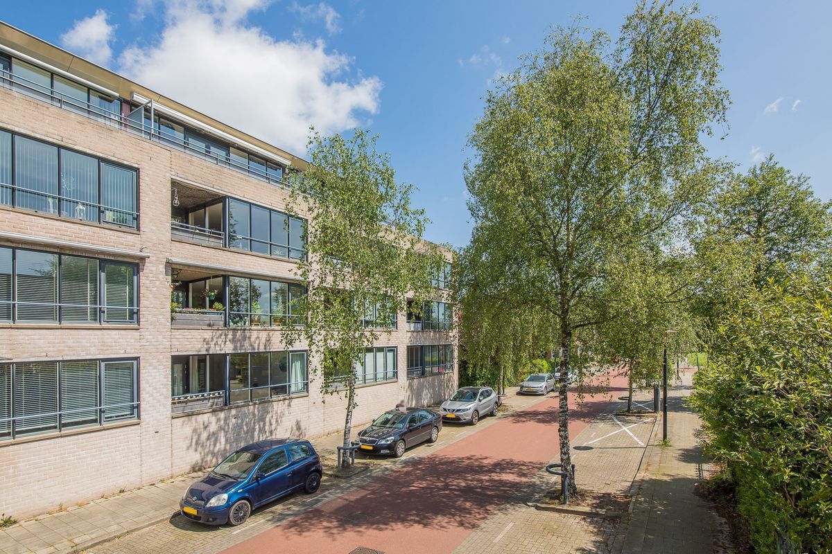 Wageningseberg 374 Photo Blur 5