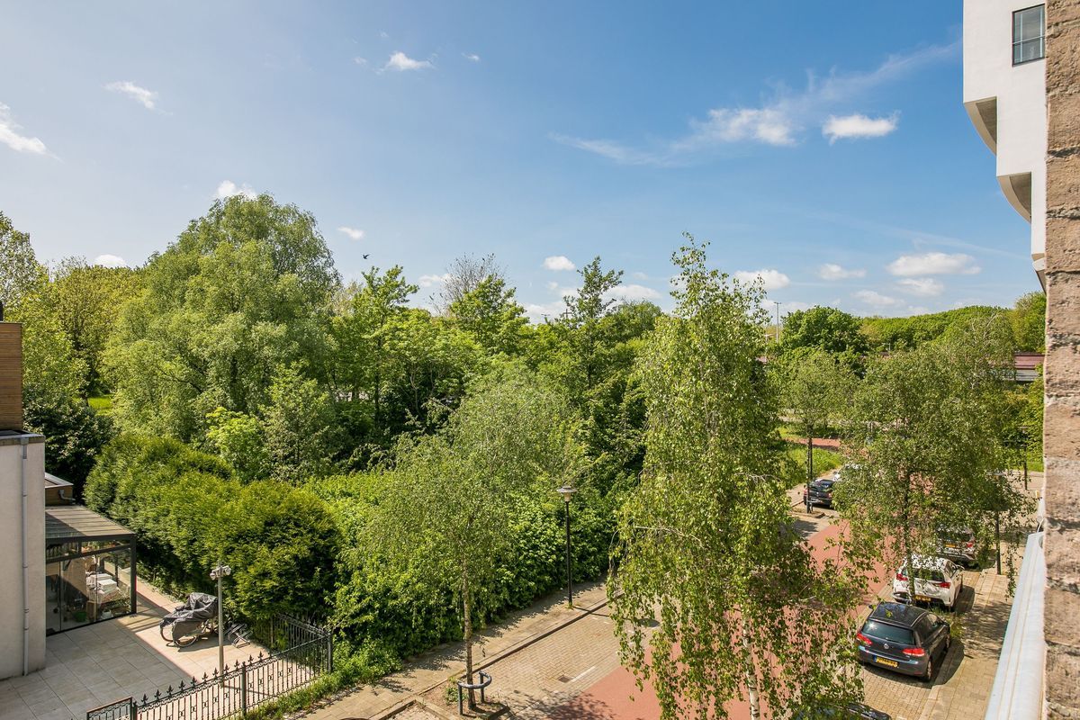 Wageningseberg 374 Photo Blur 30