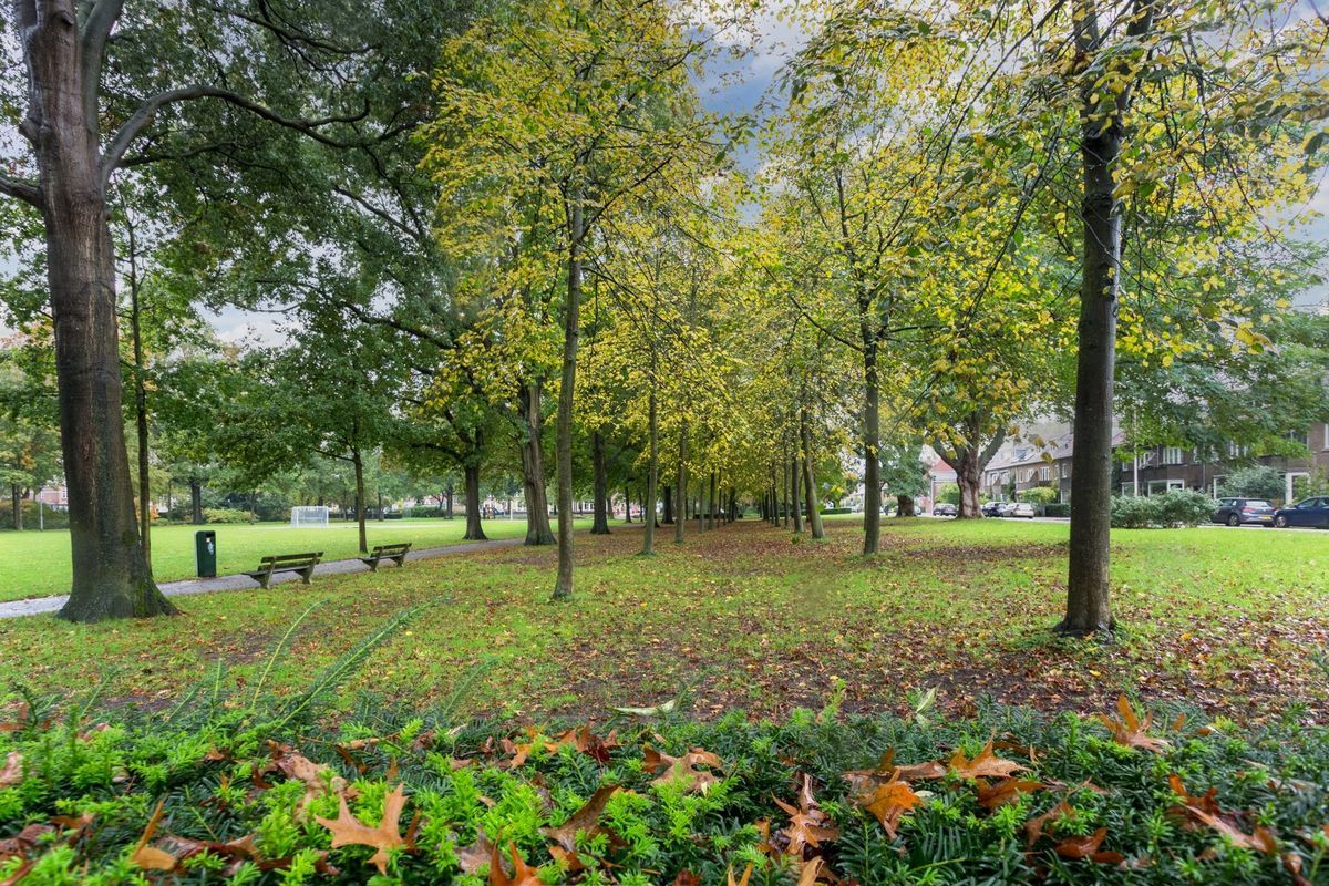 Queridostraat 1 Photo Blur 33