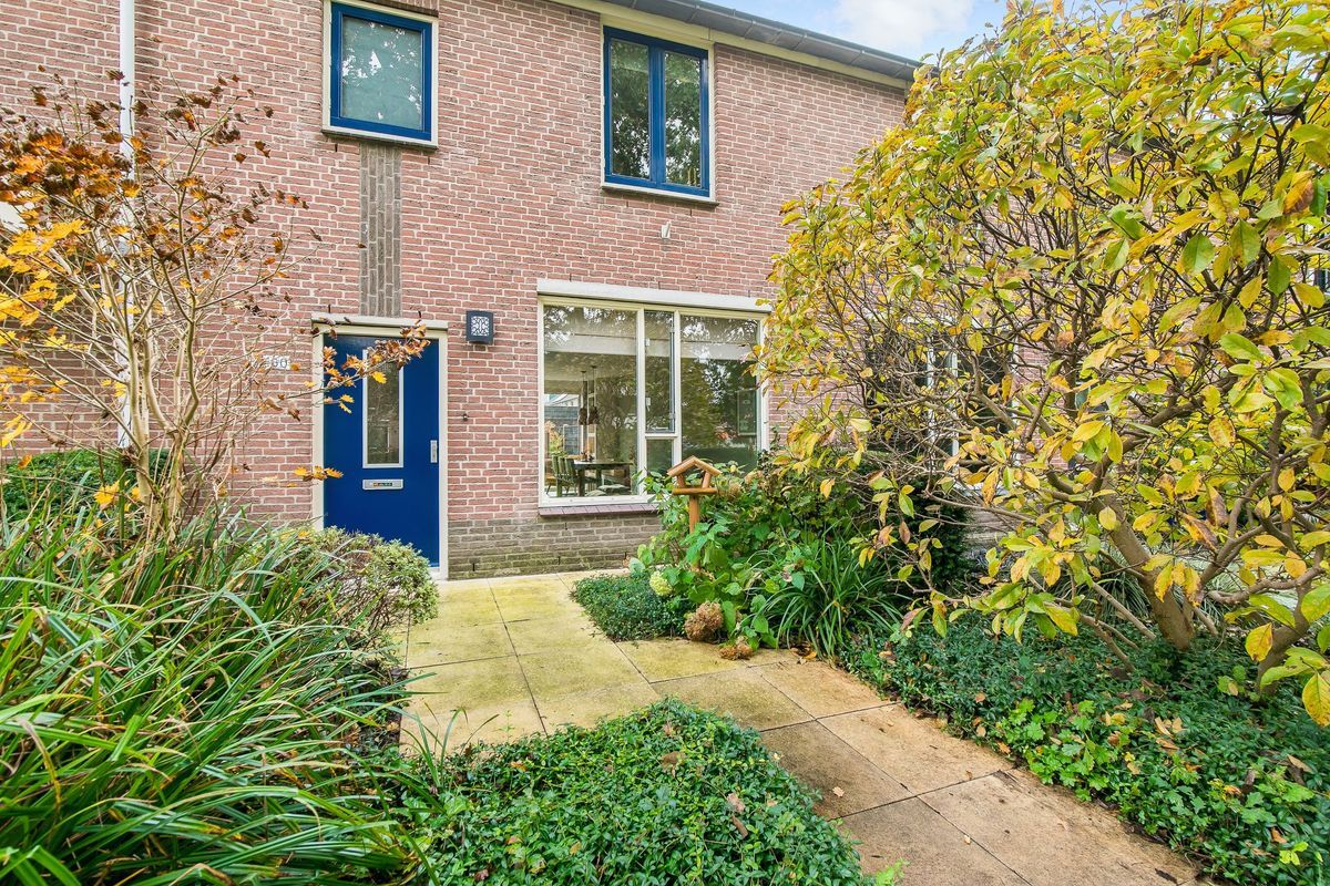 Friezenpoort 100 Photo Blur 43