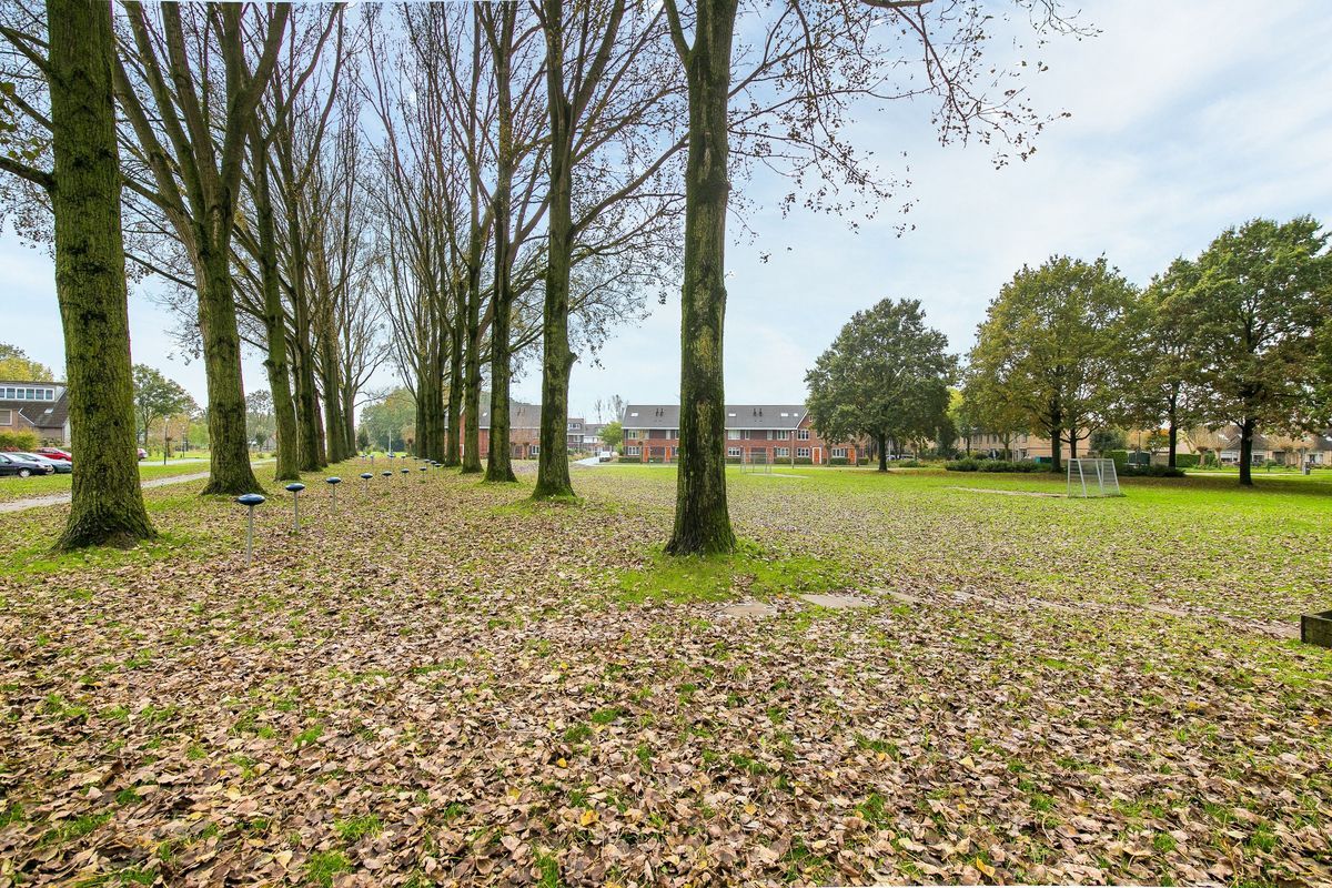 Friezenpoort 100 Photo Blur 47