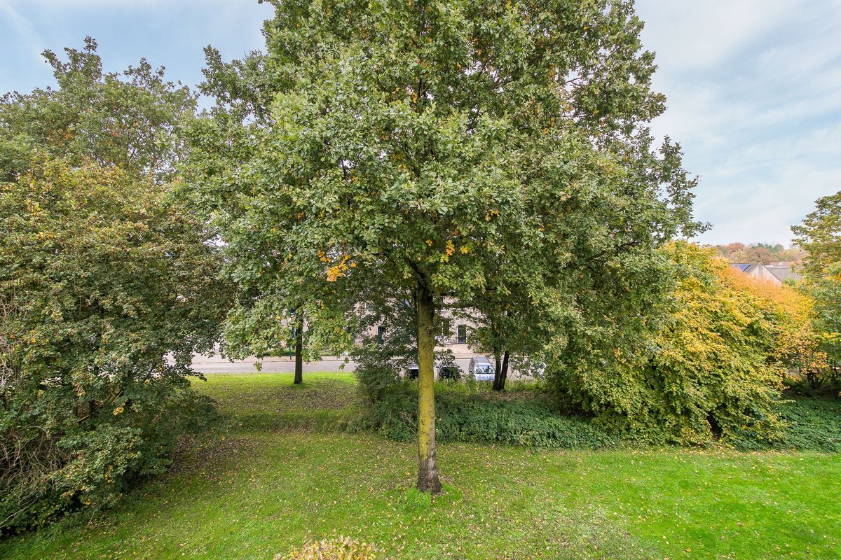 Friezenpoort 100 Photo Blur 45