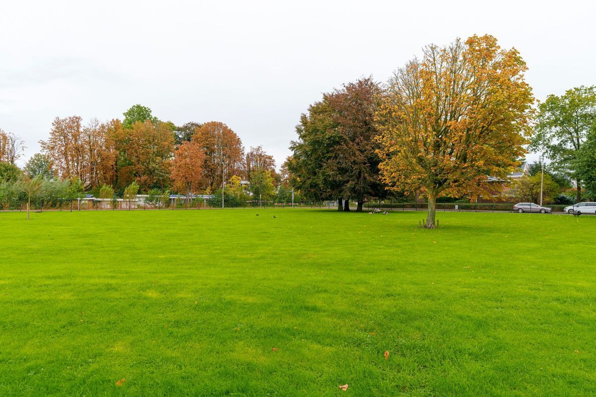 Leidseweg 135 Photo Blur 27