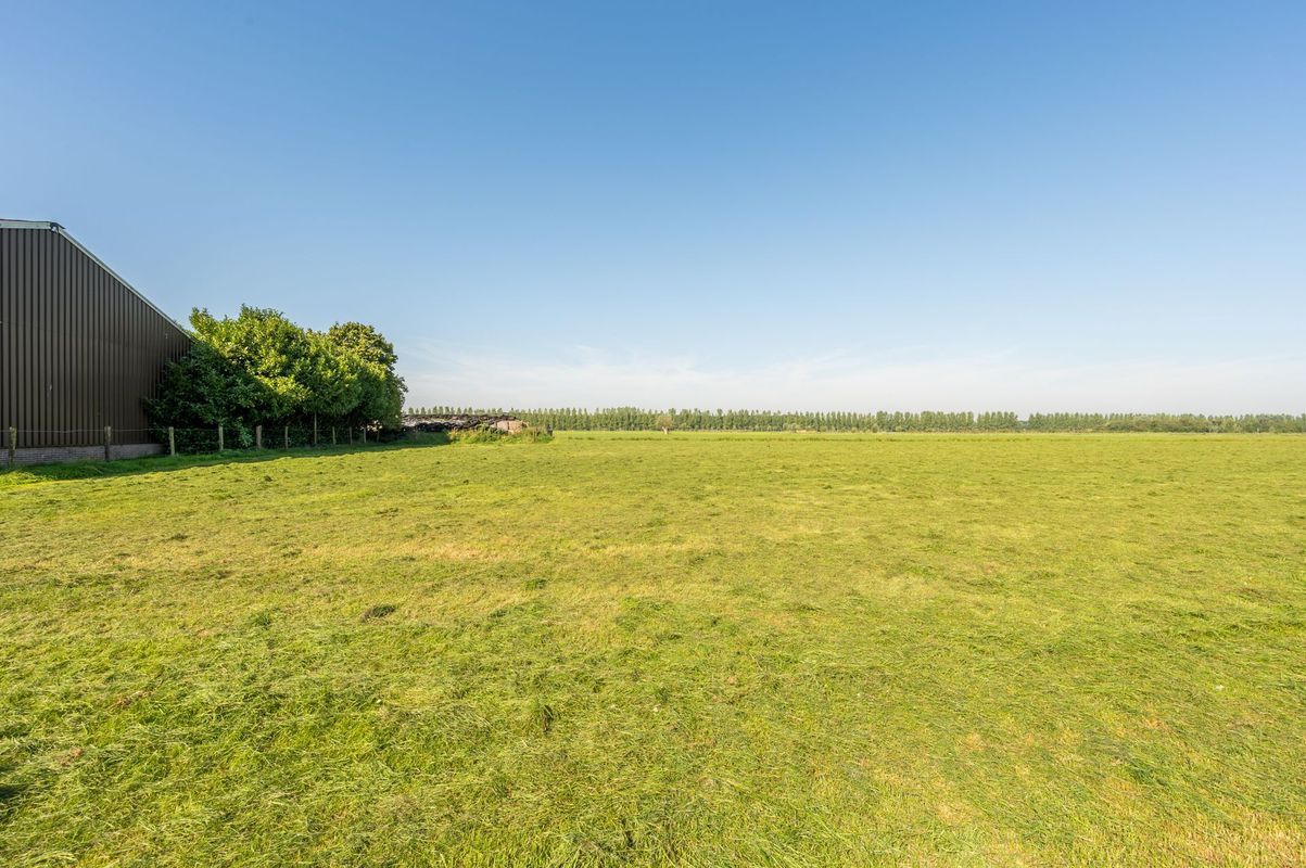 Houtwerf 10 Photo Blur 11