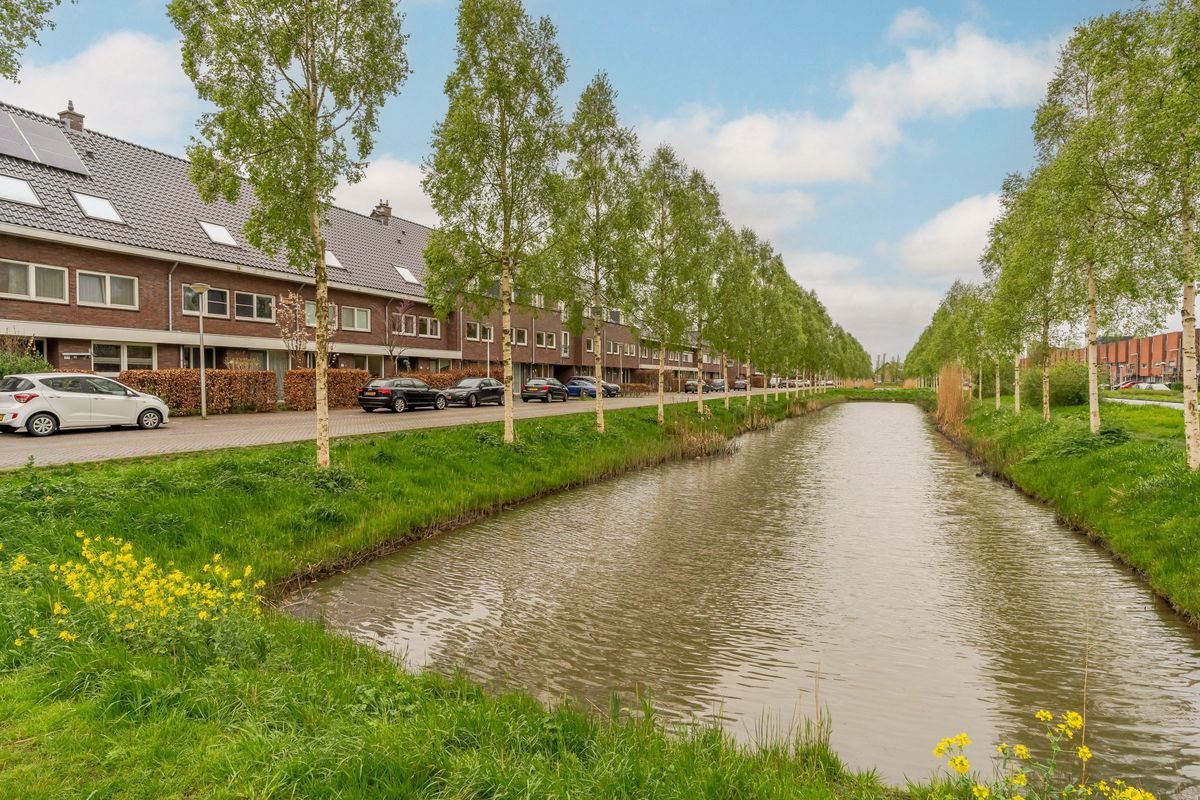 Paardenbloemsingel 49 Photo Blur 28