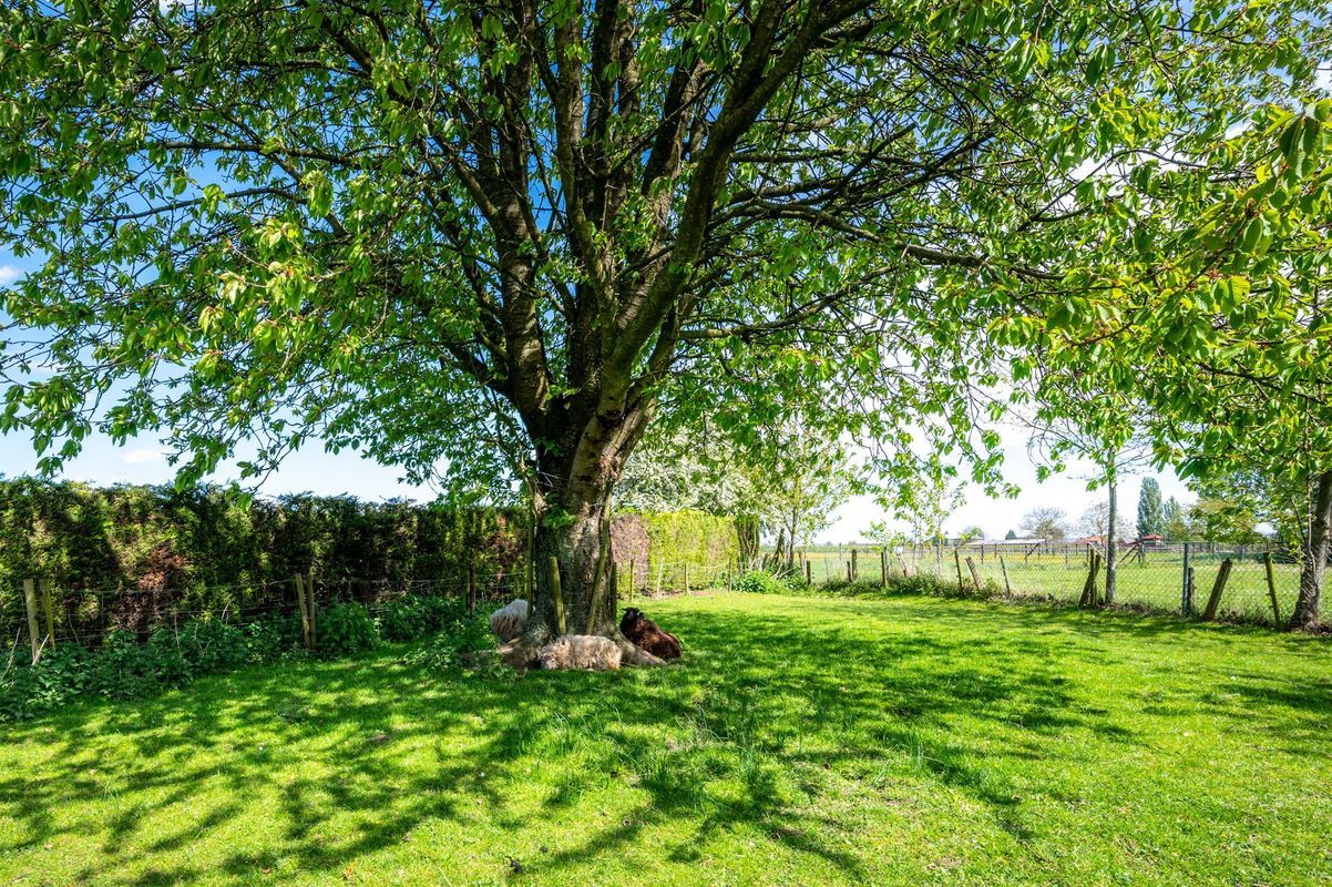 Uiterdijk 3 Photo Blur 13