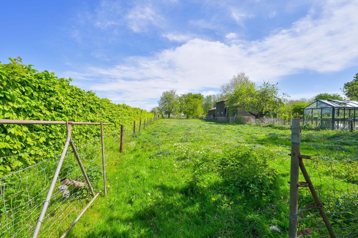 Uiterdijk 3 Photo Blur 12