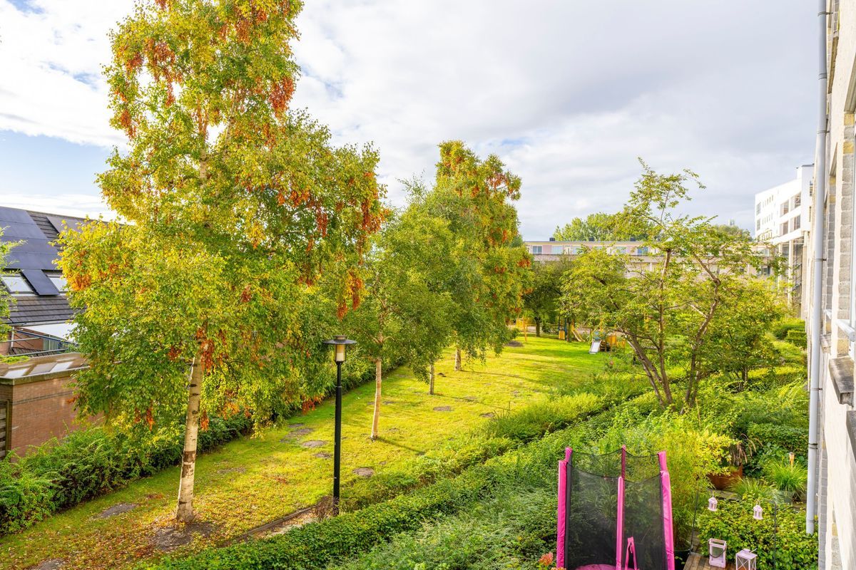 Wageningseberg 210 Photo Blur 9