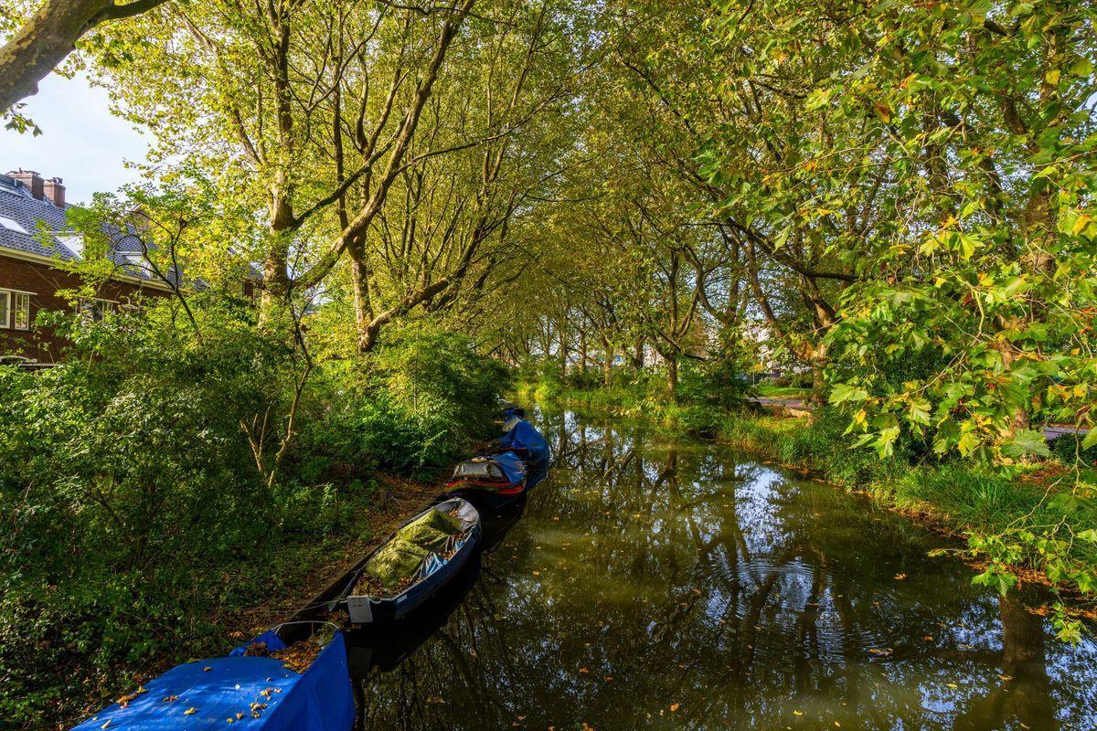 Bekkerstraat 164 Photo Blur 28