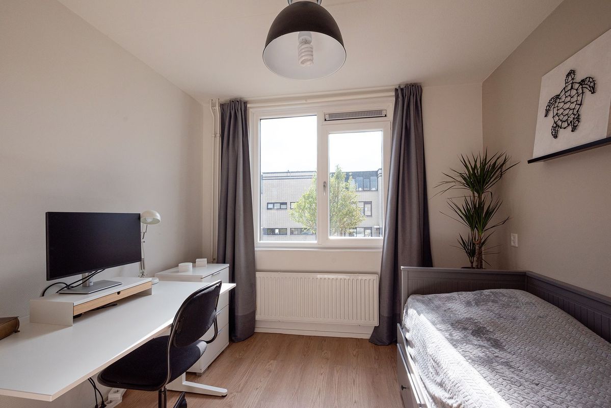 Zuiderkeerkring 229 Photo Blur 27