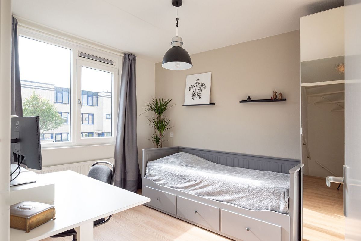 Zuiderkeerkring 229 Photo Blur 28