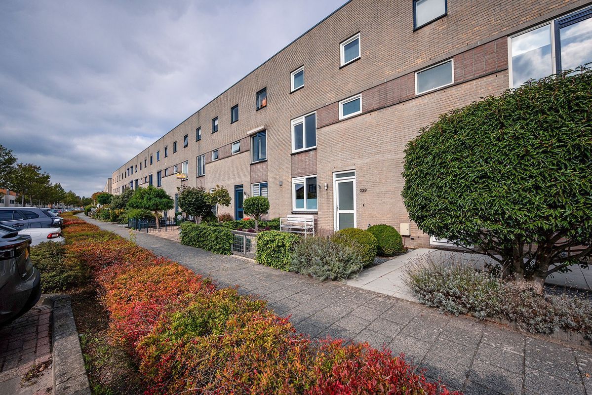 Zuiderkeerkring 229 Photo Blur 38