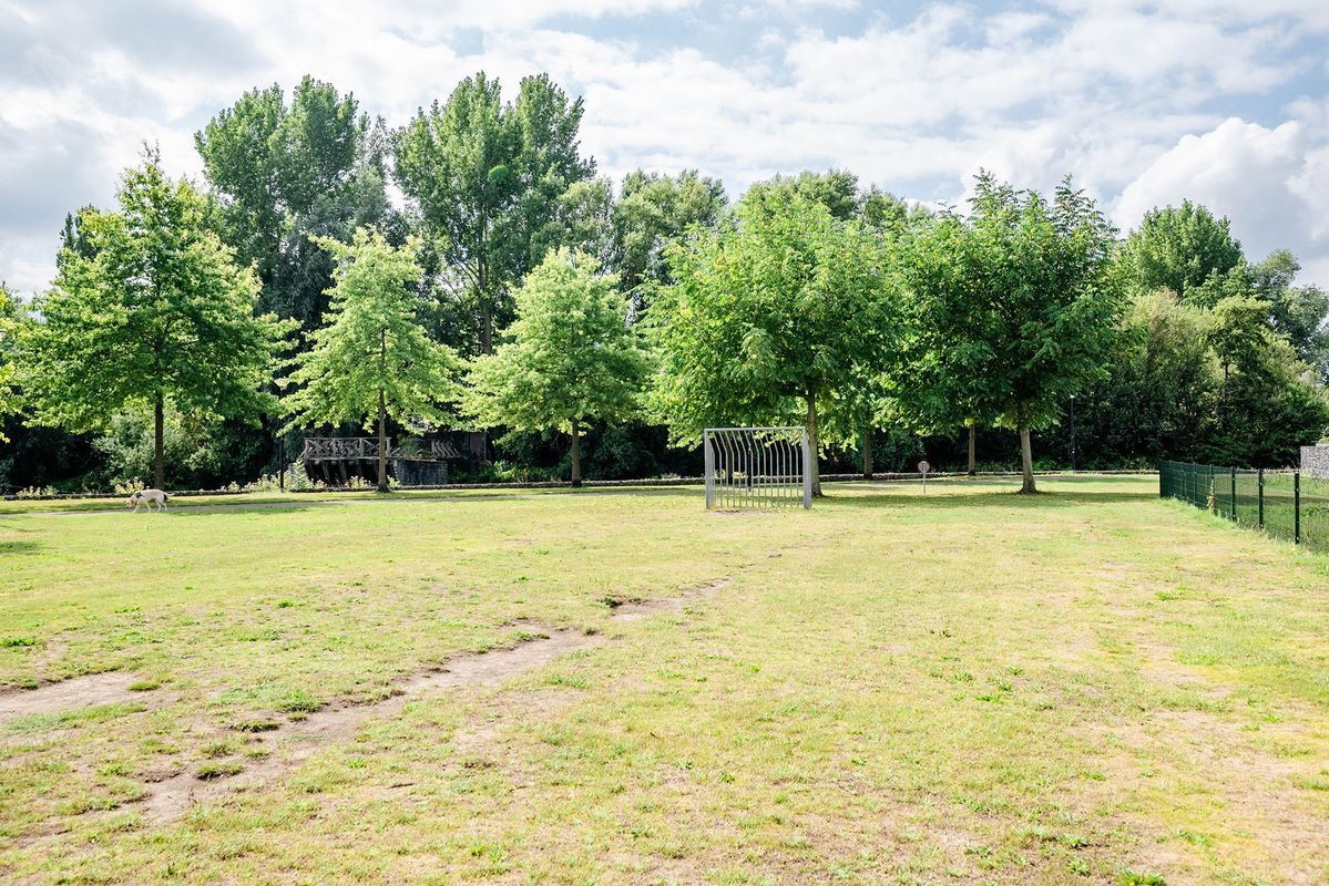 Zuiderkeerkring 229 Photo Blur 41