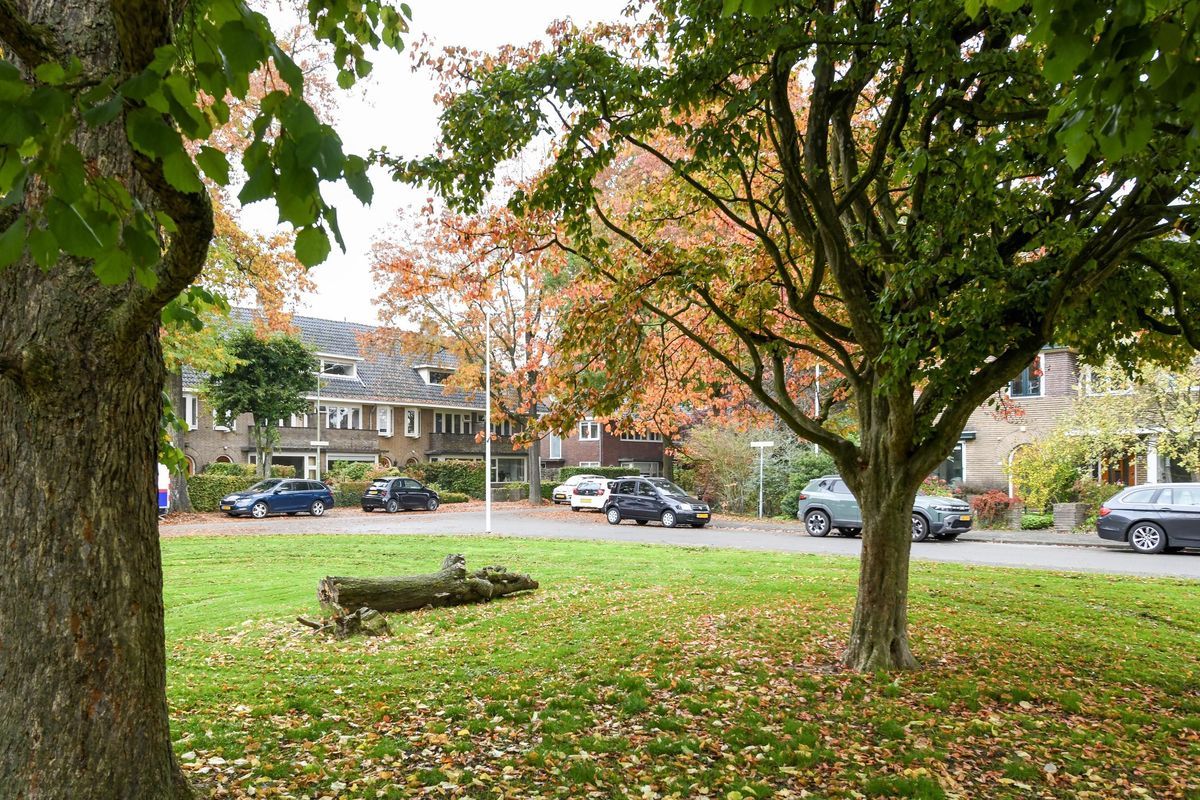 Laan van Cattenbroeck 54 Photo Blur 36