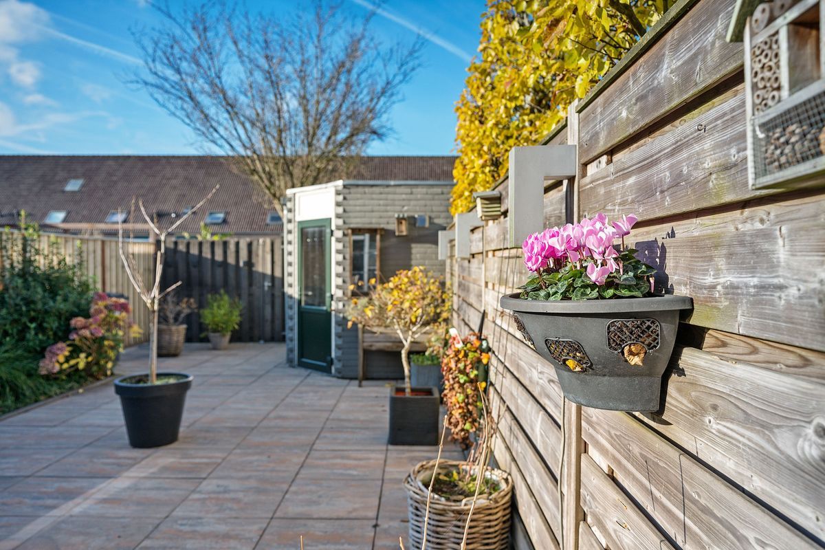 Graaf Dudosingel 3 Photo Blur 26