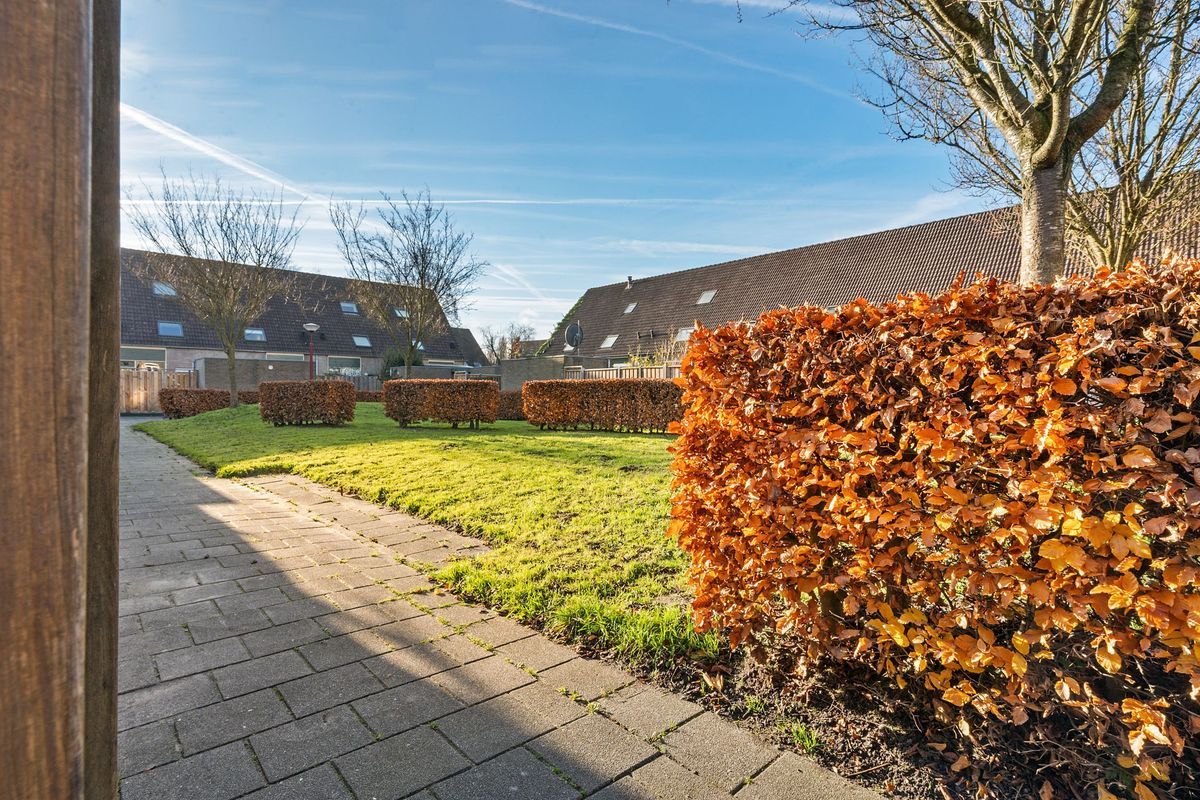 Graaf Dudosingel 3 Photo Blur 28