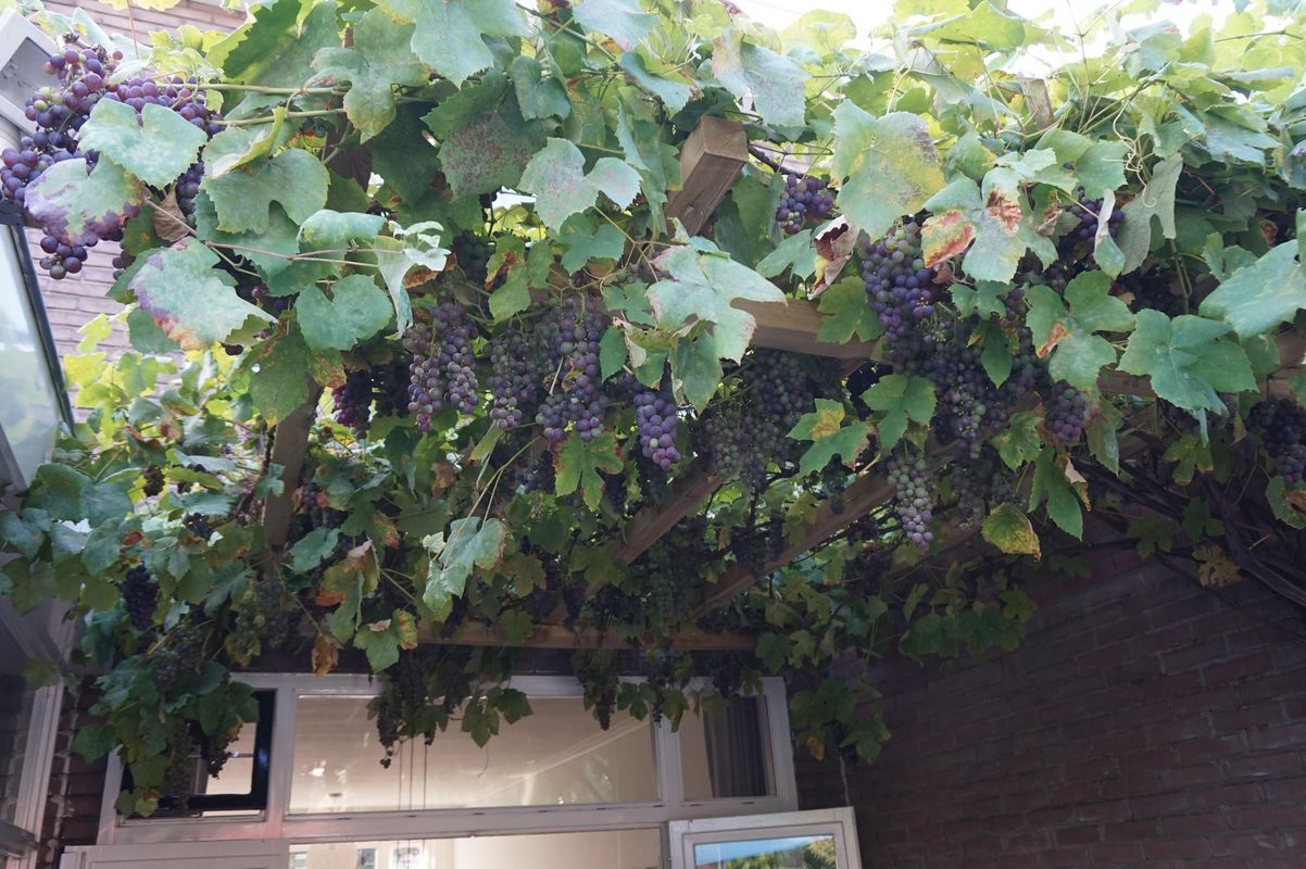 Verlengde Hoogravenseweg 112 Photo Blur 35