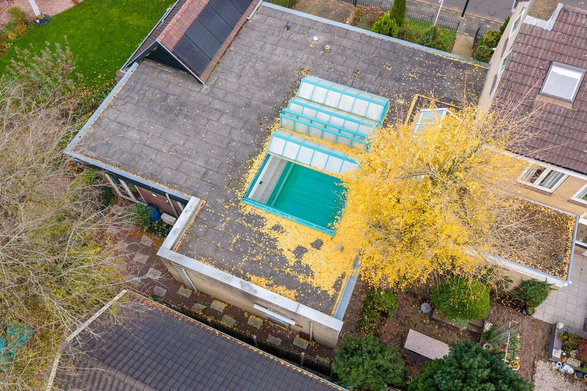 Beethovenlaan 2 Photo Blur 71