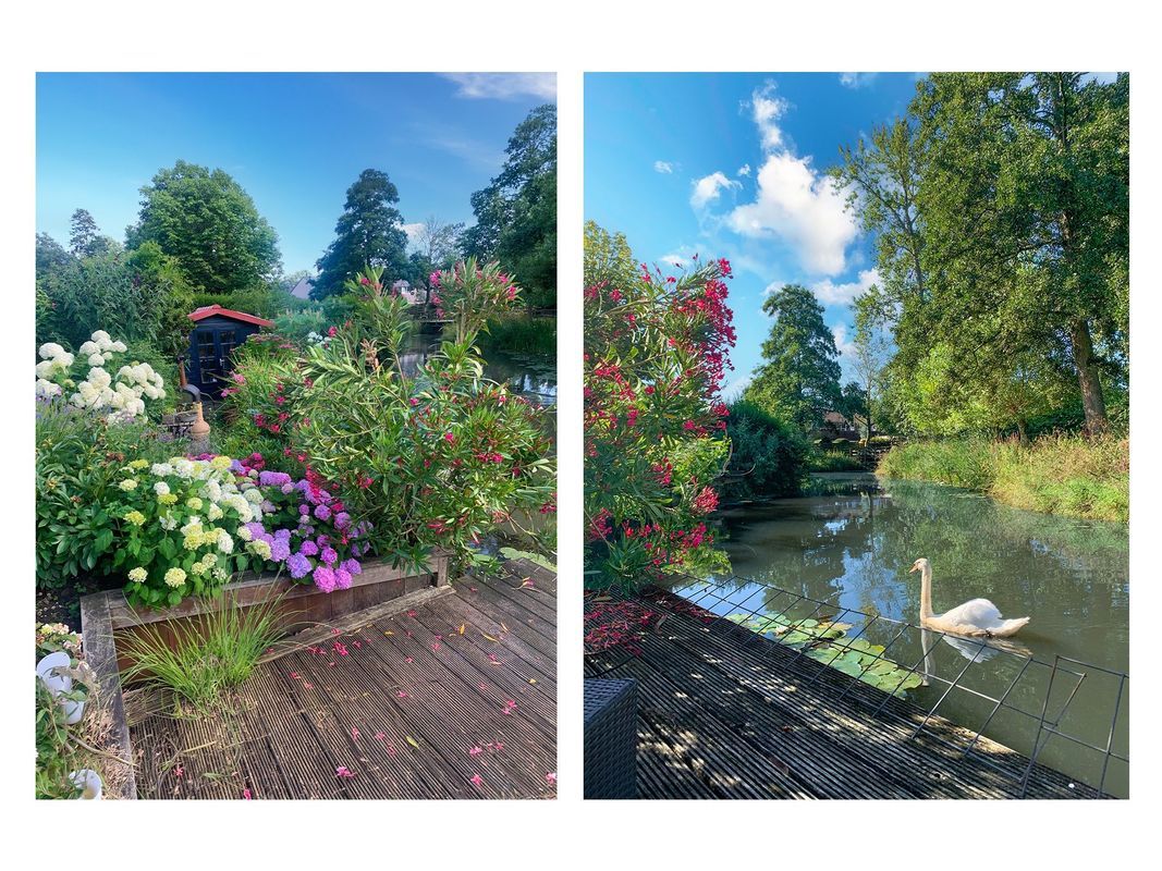 Fazantenkamp 963 Photo Blur 26