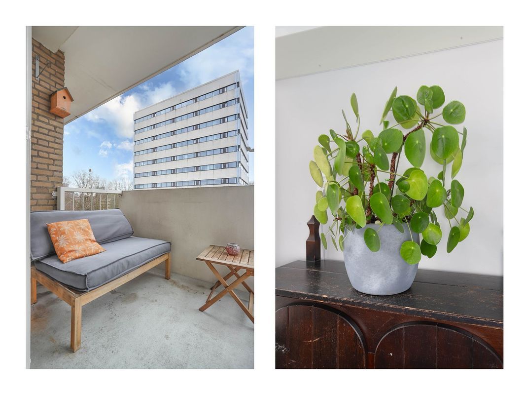 Ravellaan 103 Photo Blur 5