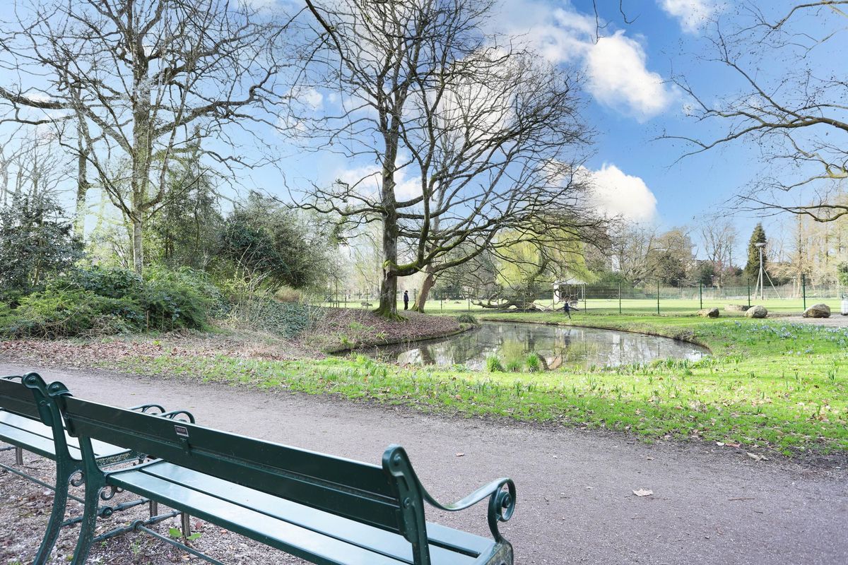 Ravellaan 72 Photo Blur 23