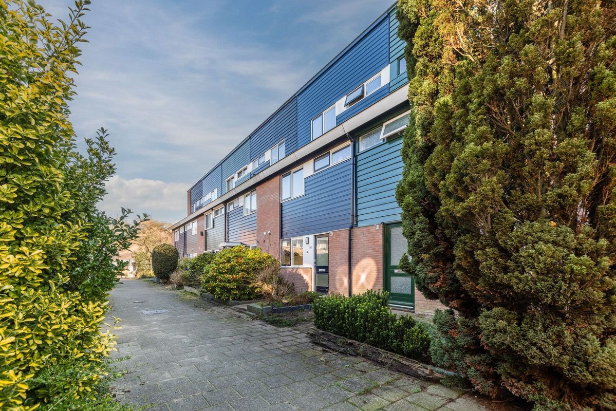 Brugakker 5863 Photo Blur 31