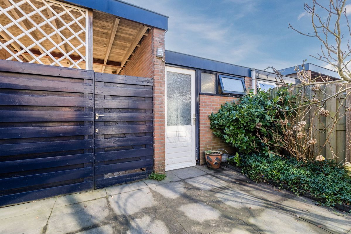 Brugakker 5863 Photo Blur 27