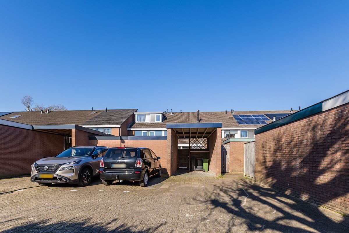 Brugakker 5863 Photo Blur 30