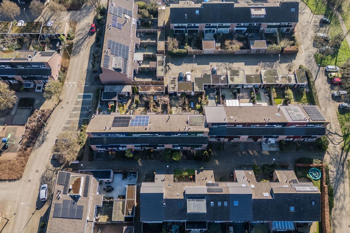 Brugakker 5863 Photo Blur 34