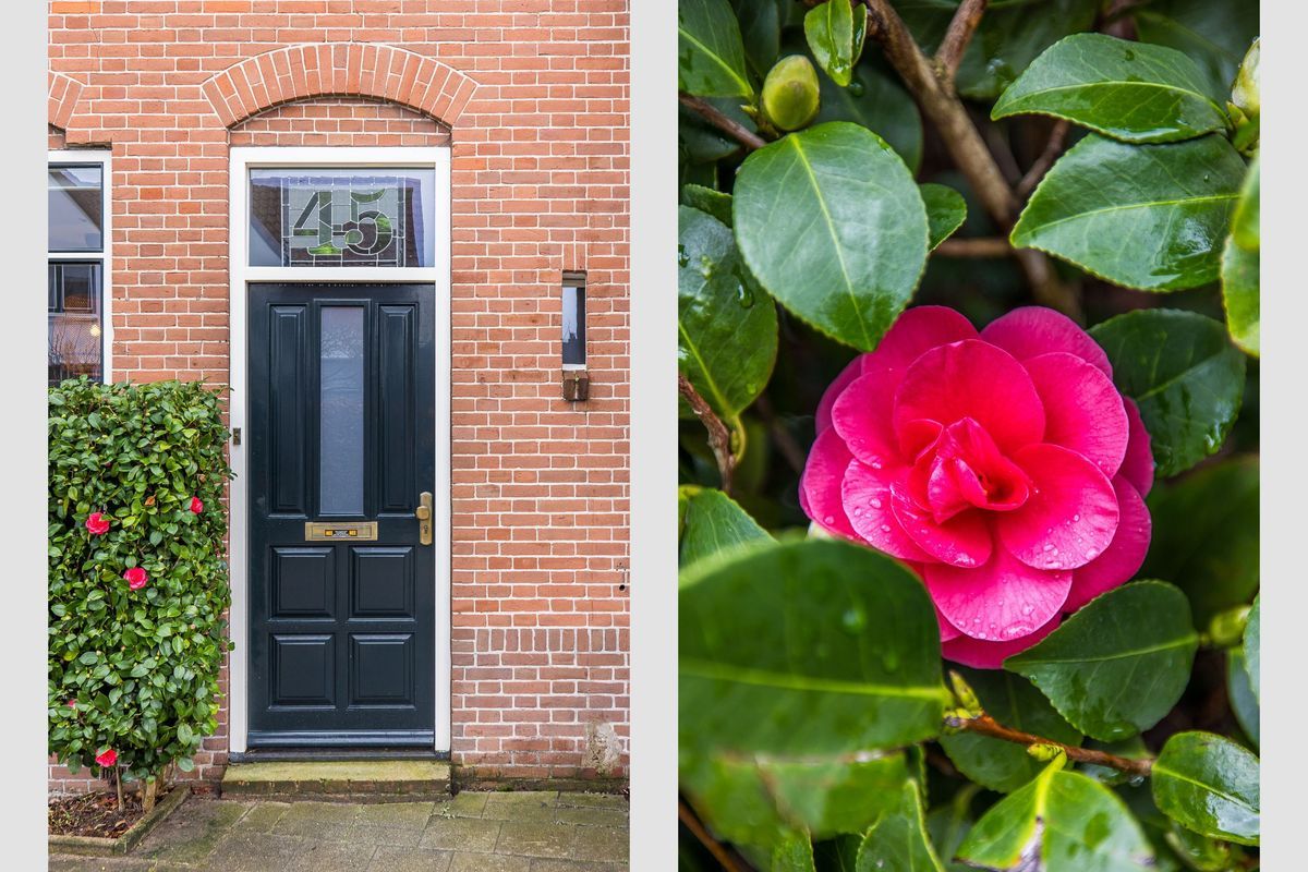 Bessemerlaan 45 Photo Blur 3