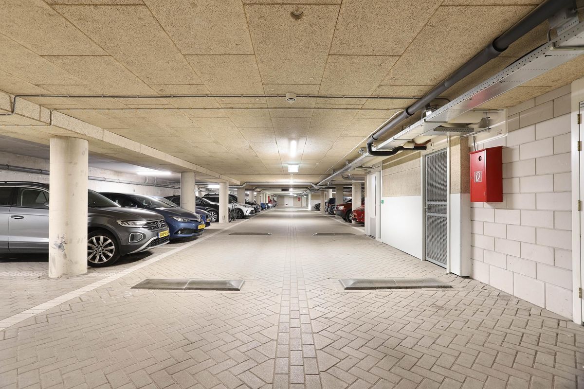 Rolderdiephof 150 Photo Blur 25