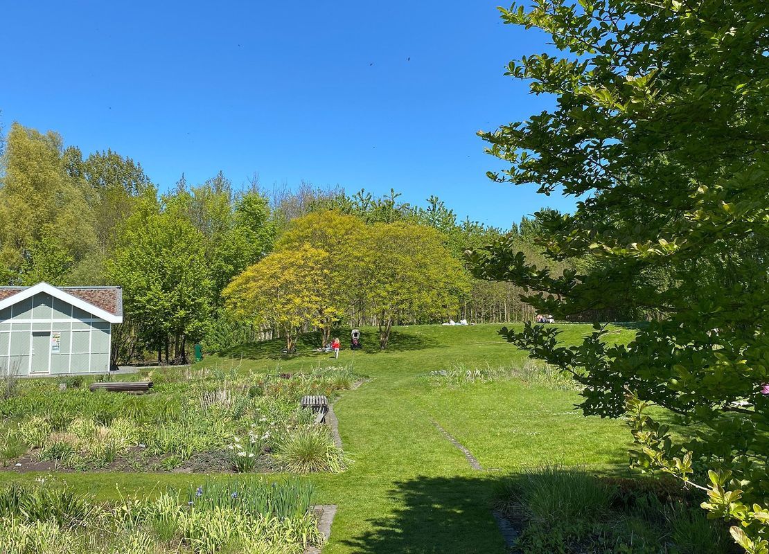 Stuivingastraat 33 Photo Blur 42