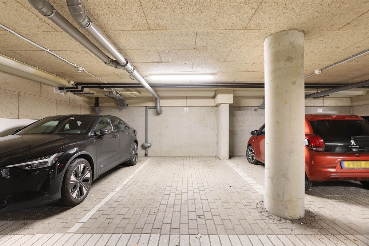 Rolderdiephof 136 Photo Blur 34