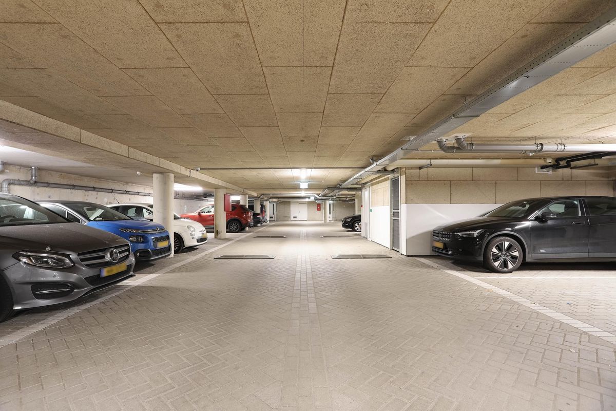 Rolderdiephof 136 Photo Blur 35