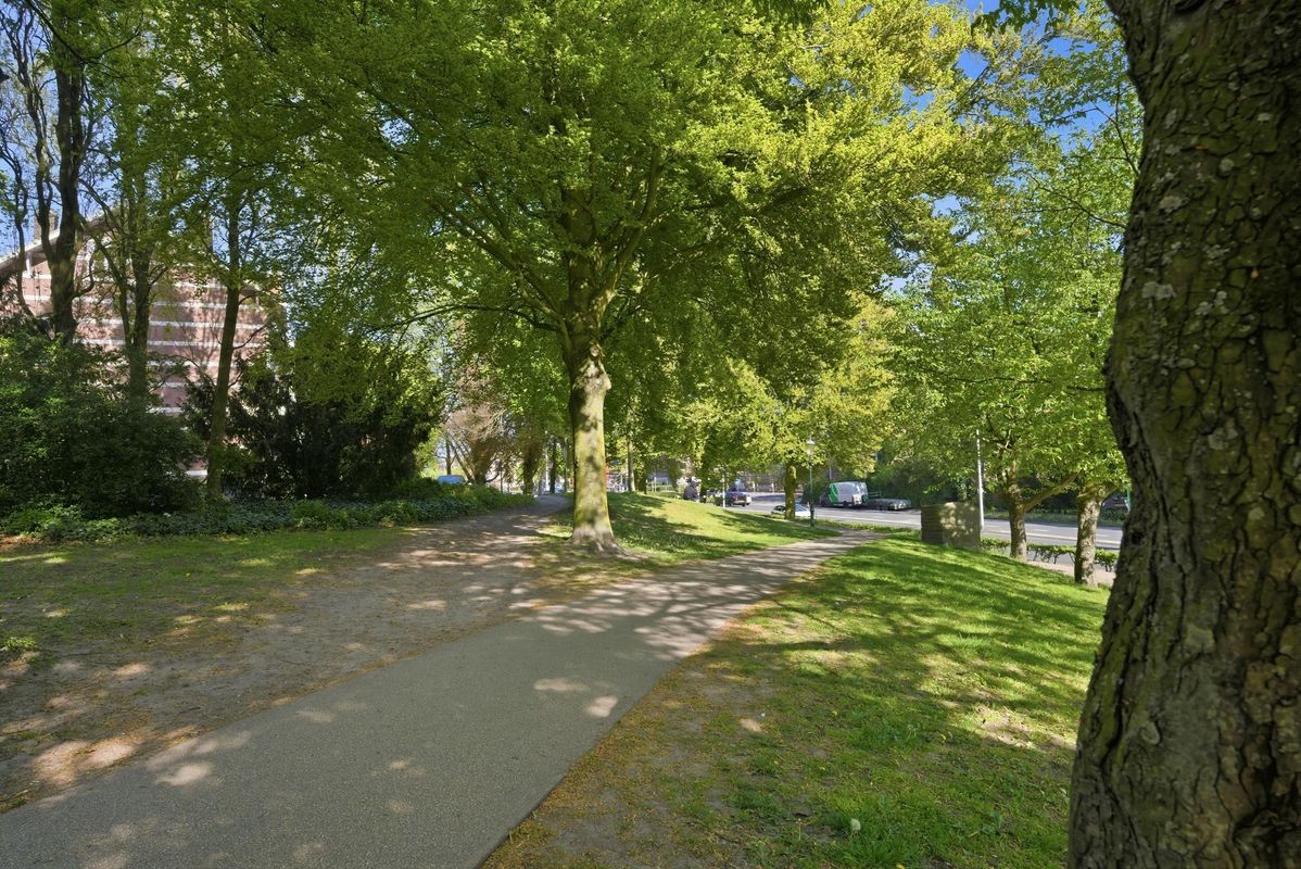 Arnhemsestraat 31-C Photo Blur 34