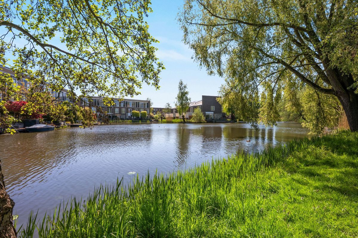 Walter Kollolaan 204 Photo Blur 25